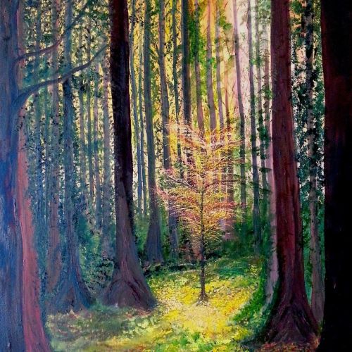 bosco-3-speranza-nel-bosco-olio-su-legno-cm-60x80AFD991A5-29AC-3777-9A21-0CAD244BDA93.jpg