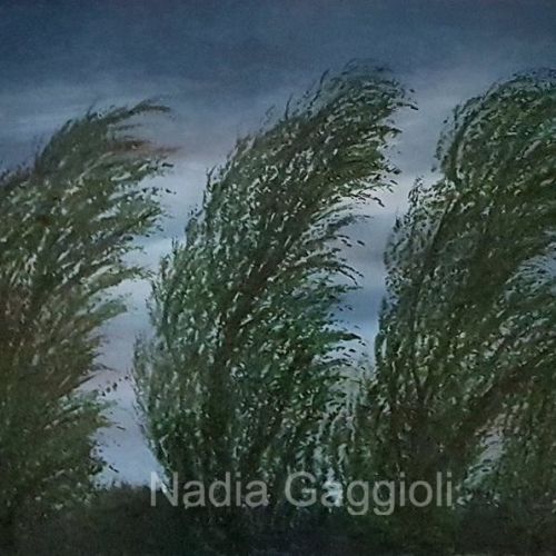 pioppi-olio-su-tela-cm-30x406292673D-26C0-3049-A618-7FDAAEB784A2.jpg